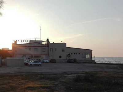 Bei tempi per il Gabbiano, che ormai da anni giace sulla costa trascurato e derelitto, aspettando il giorno in cui poter, forse, spiccare nuovamente il volo